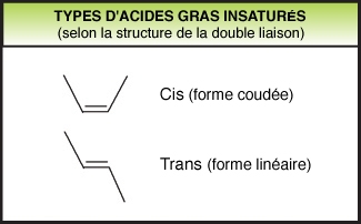acide gras cic-cis ou cis-trans